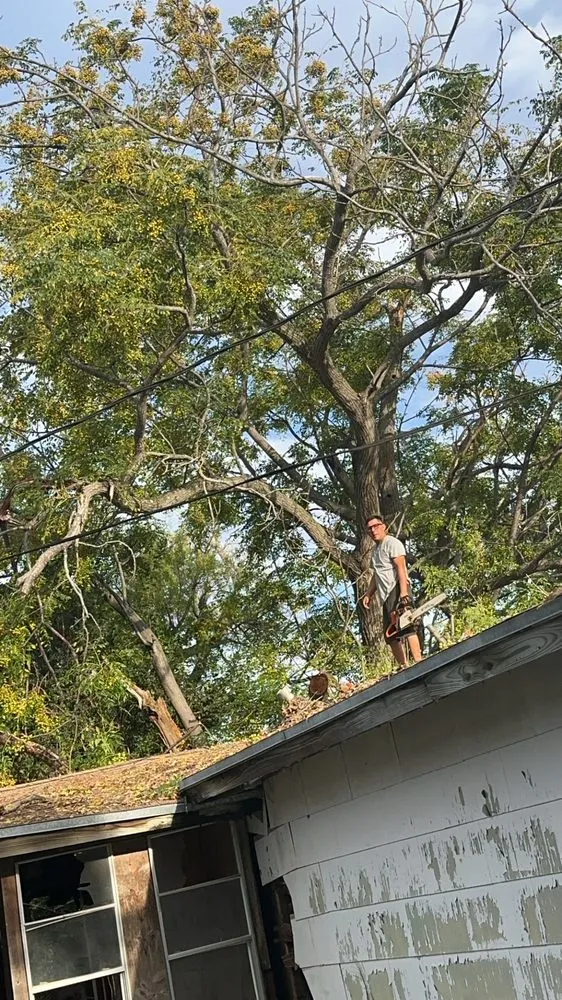 Slide of Sli Tree Trimming