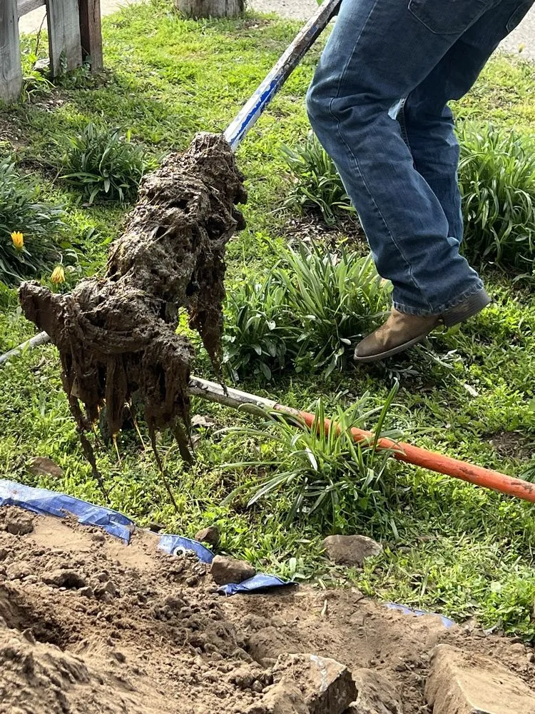 Slide of Slo Septic Pumping