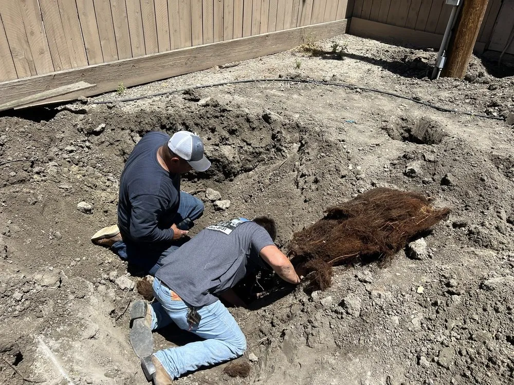 Slide of Slo Septic Pumping