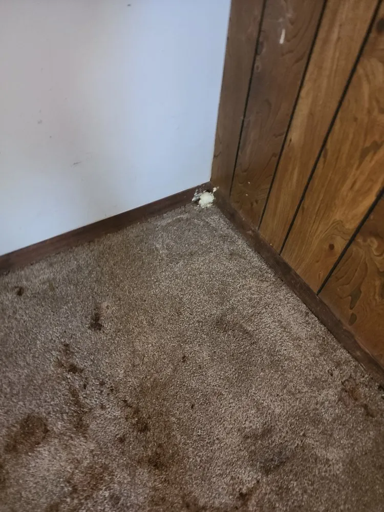 Slide of Sloane Magnolia Construction,