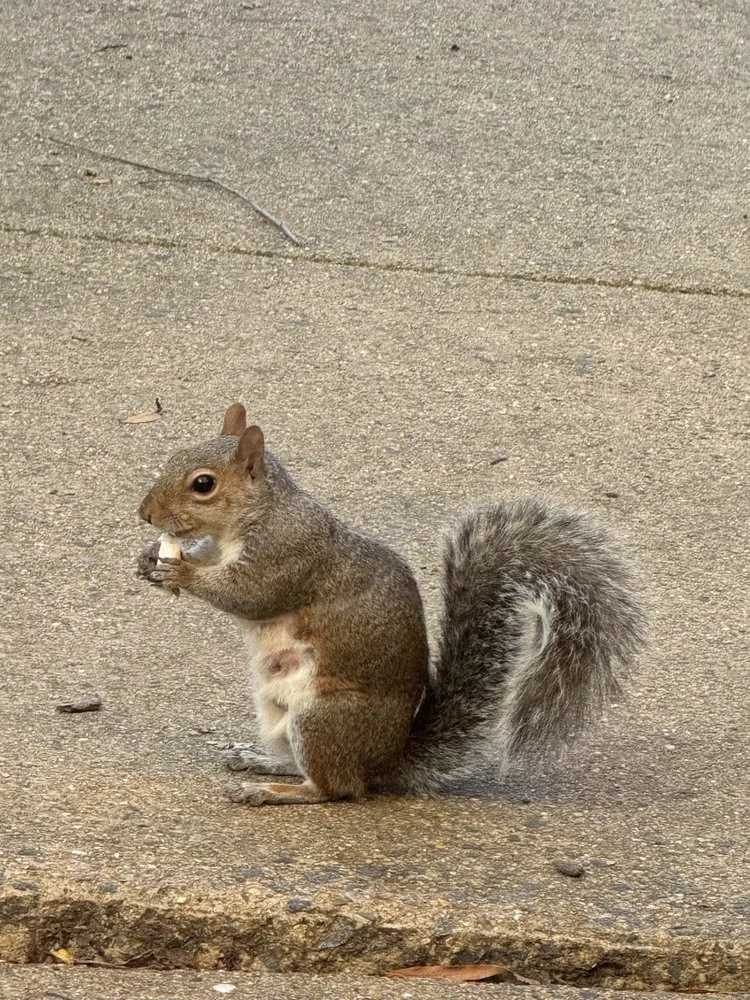 Slide of SM Plumbing