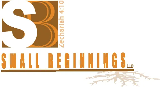 Slide of Small Beginnings