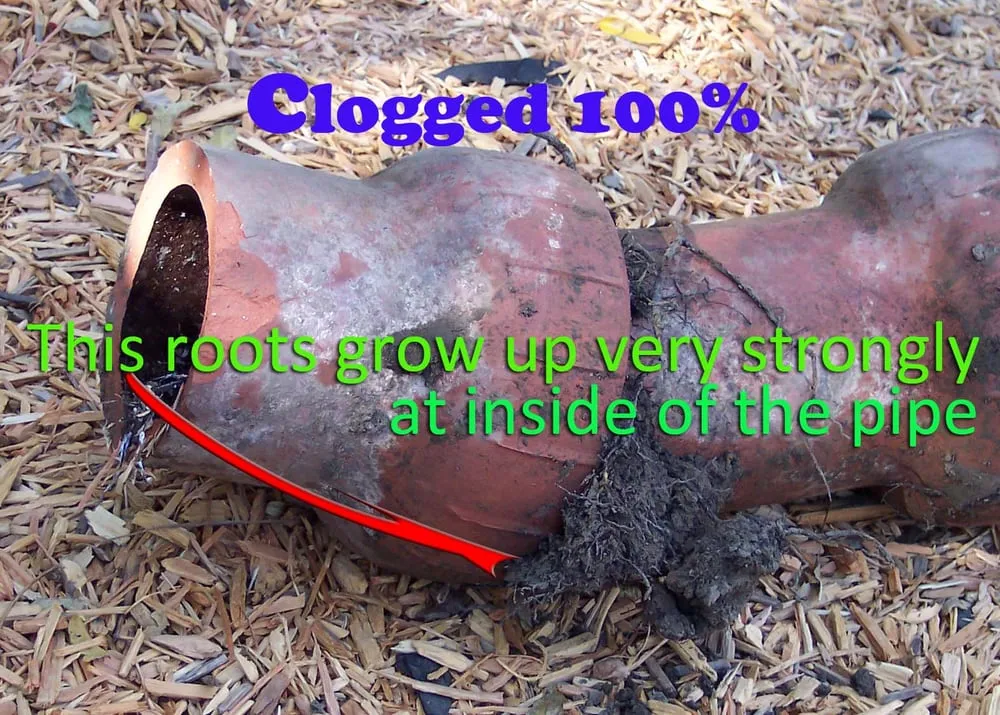 Emergency water heater service in Santa Clara, CA by Smart Plumbers & Rooters