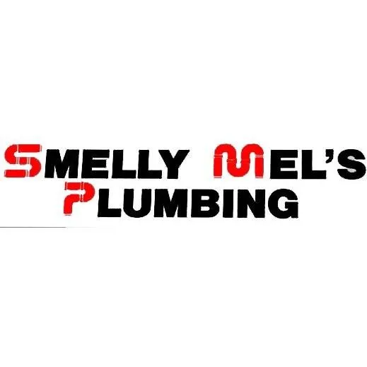 Slide of Smelly Mel's Plumbing