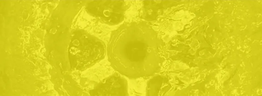 Slide of Smith Plumbing Company