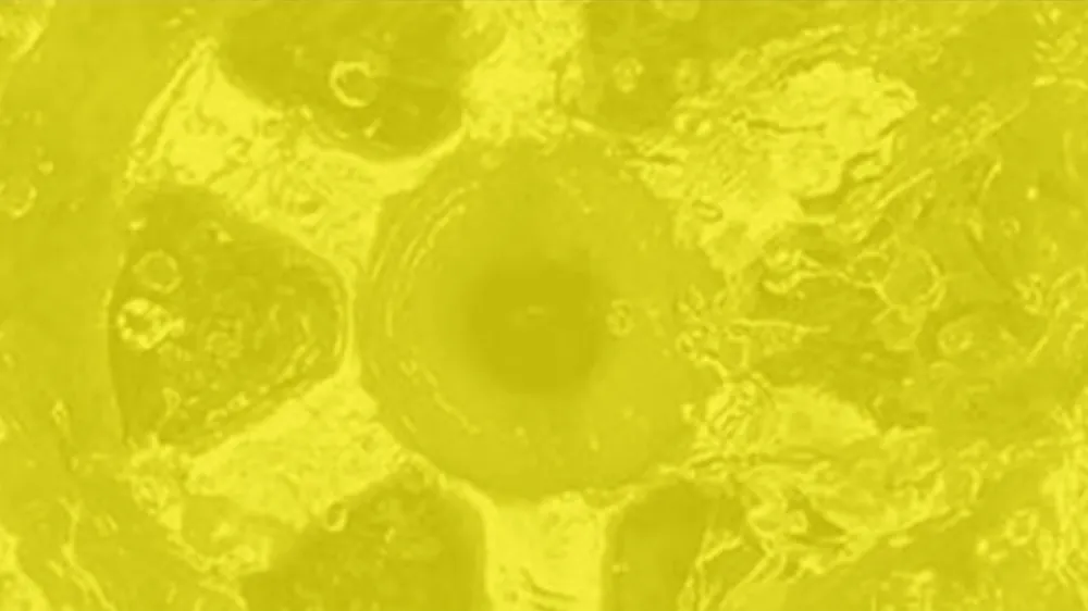 Slide of Smith Plumbing Company