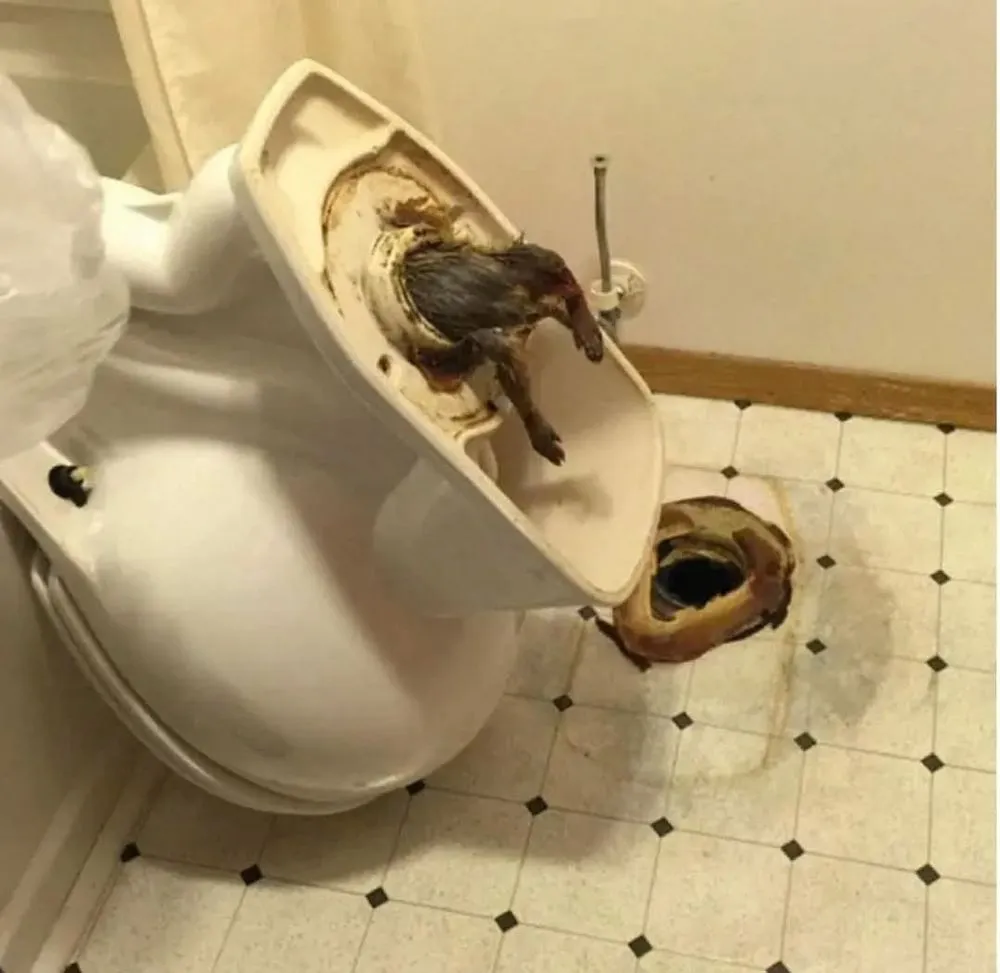 Slide of Smithy's Plumbing