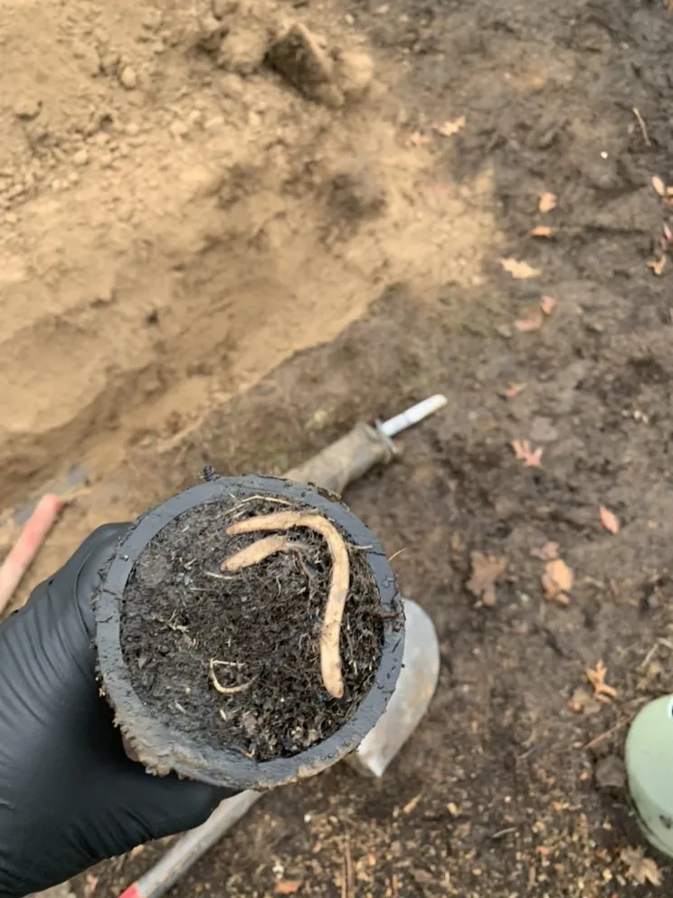 Slide of Smitty's Sewer Service