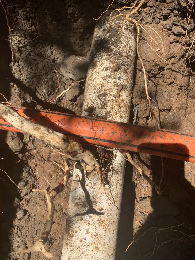 Slide of Smitty's Sewer Service