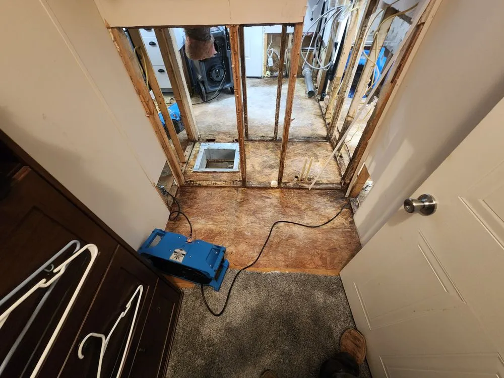 Slide of Smoky Mountain Restoration