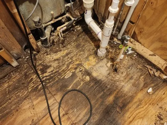 Smoky Mountain Restoration