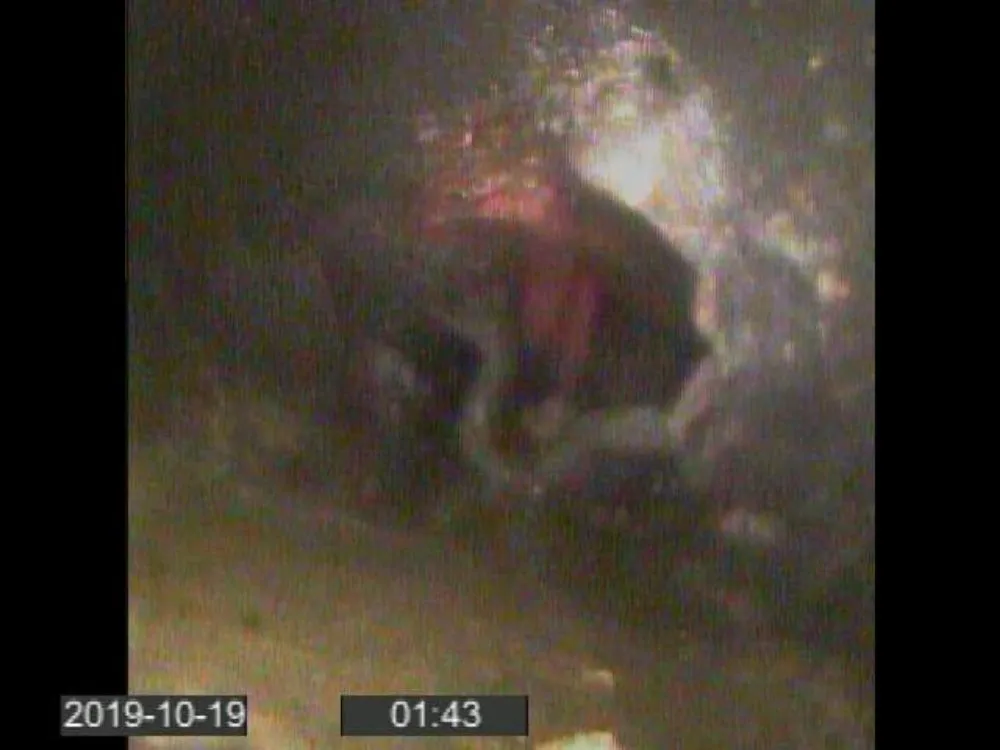 Reliable emergency plumbing service in Roanoke, VA - Smooth Operator Drain Cleaning