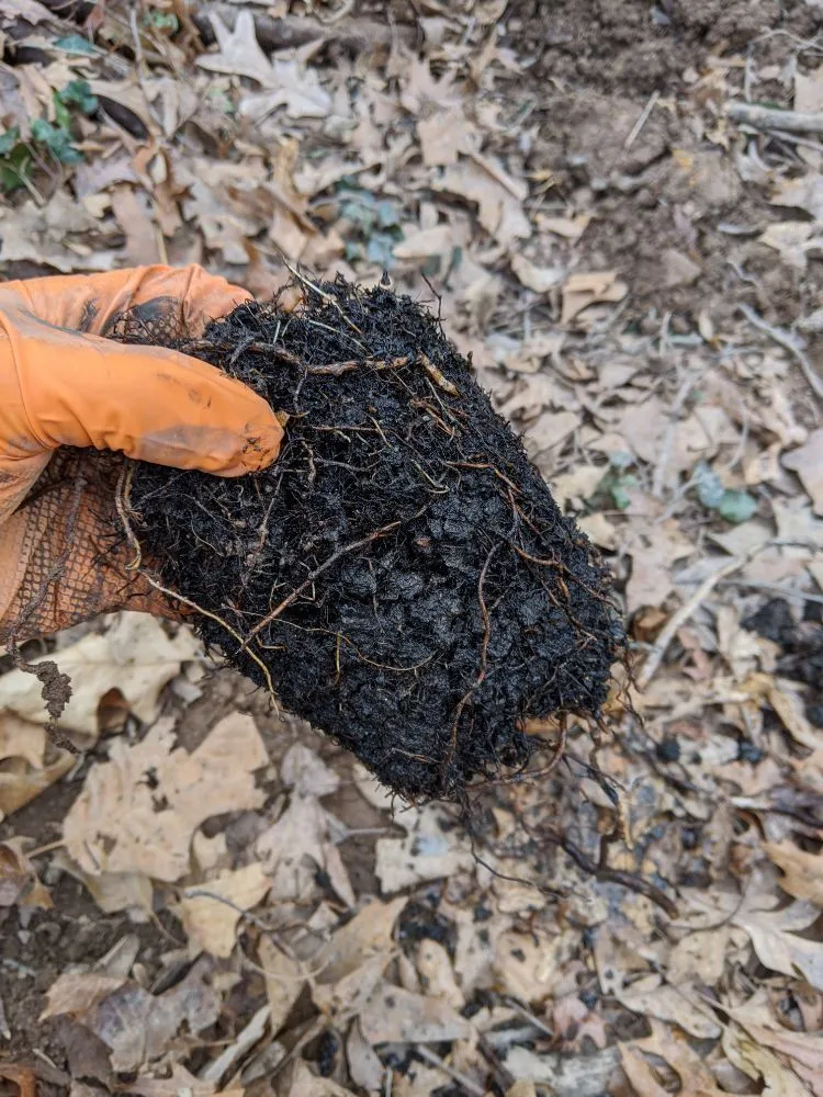 Slide of Smooth Operator Drain Cleaning