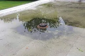 Slide of Snake Guys Sewer & Drain