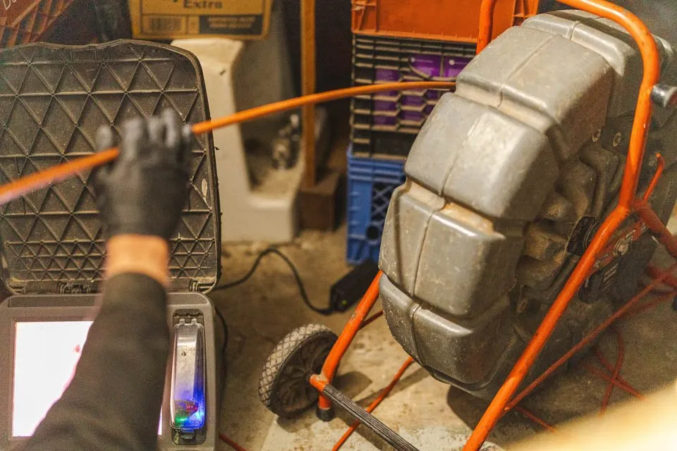 Slide of Snake It Away