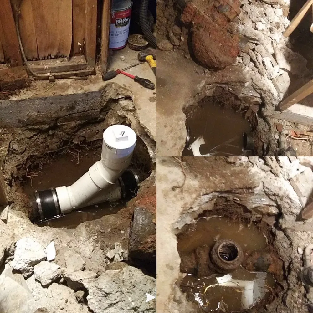 Slide of Snake It Away