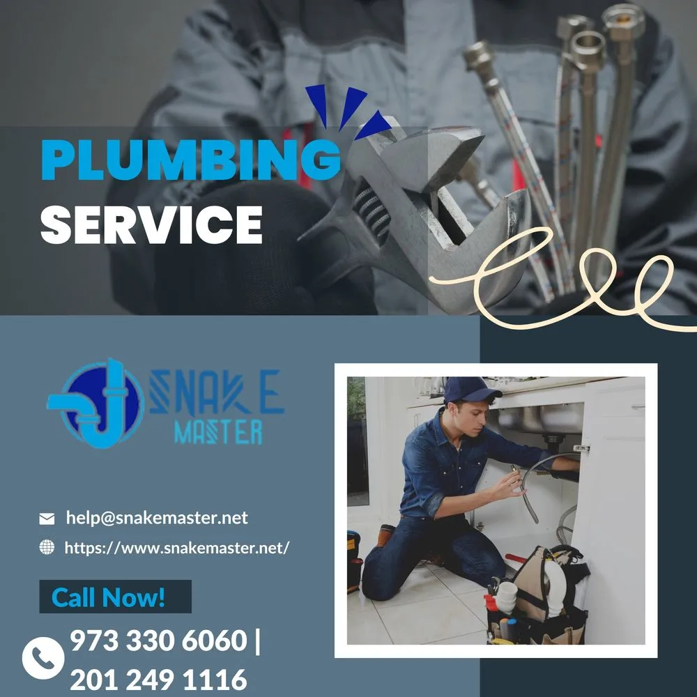 Slide of Snake Master