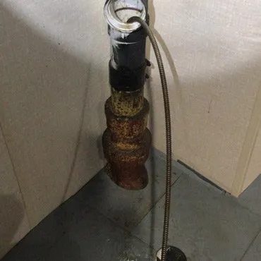 Slide of Snake Master