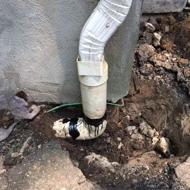 Slide of Snake Master