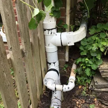 Slide of Snake Master