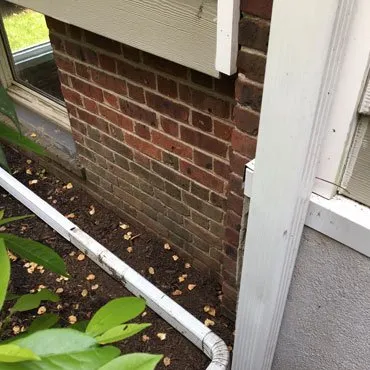 Slide of Snake Master