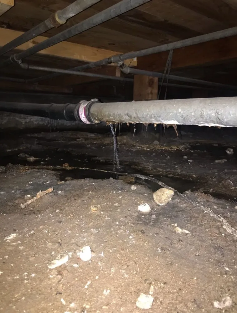 Emergency plumbing repair experts serving Clovis, CA - Snake 'N' Laterals