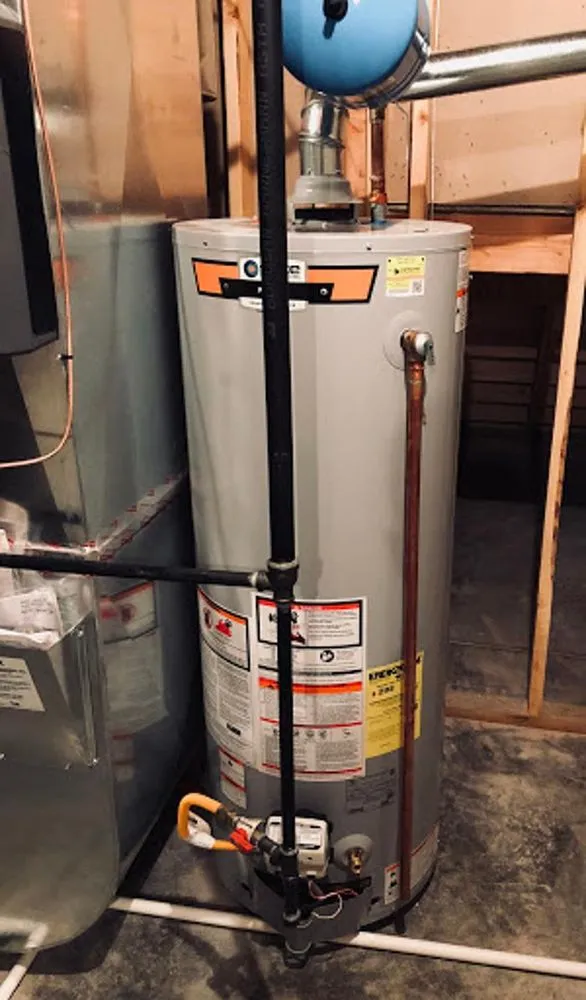 Slide of Snake 'n' Rooter