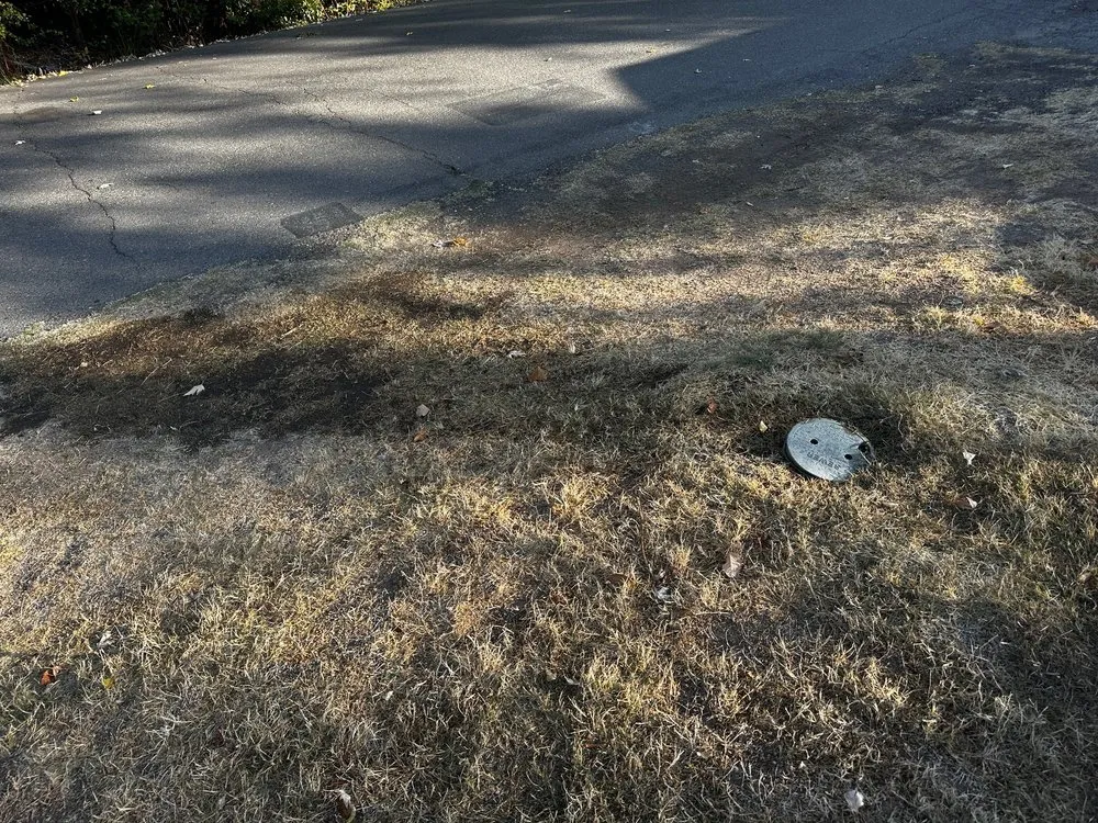 Slide of Snappy Rooter