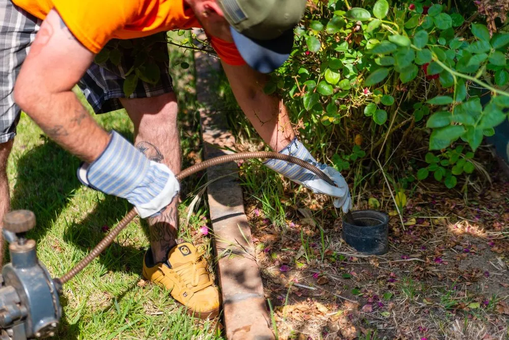 Slide of Snappy Rooter
