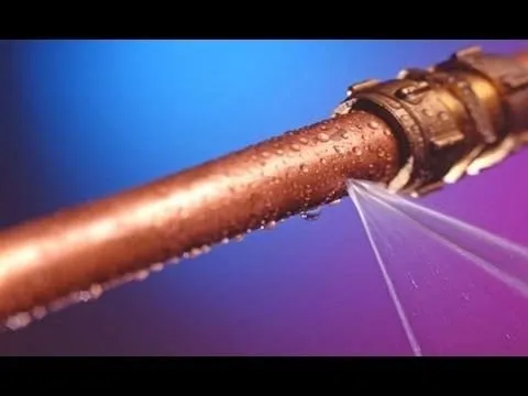 Slide of Snappy Services