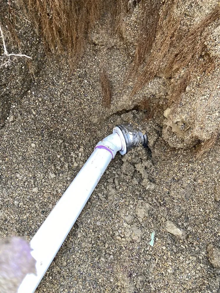 Slide of Snappy Services