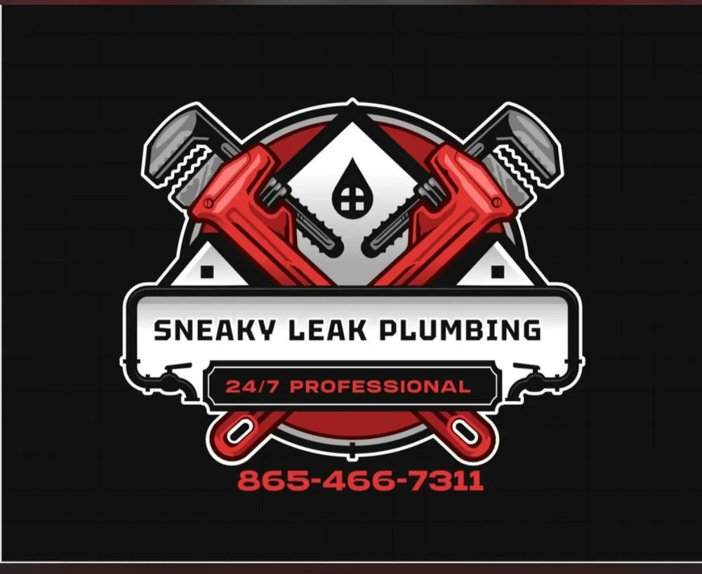 Slide of Sneaky Leak Plumbing