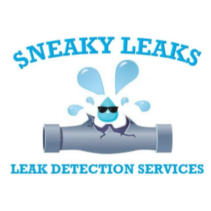 Slide of Sneaky Leaks