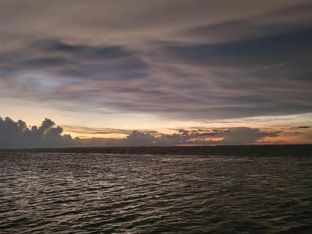 Slide of Snook's Services