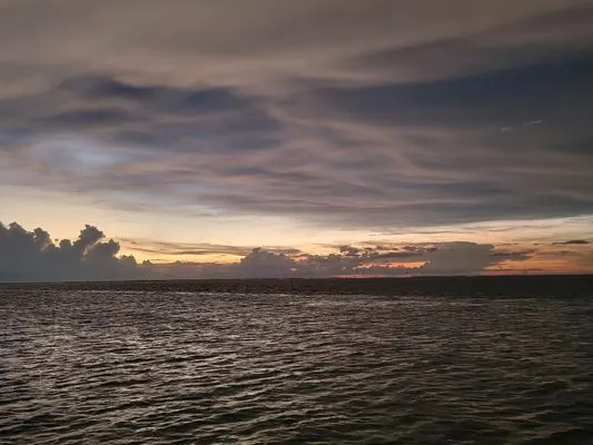 Snook's Services Logo