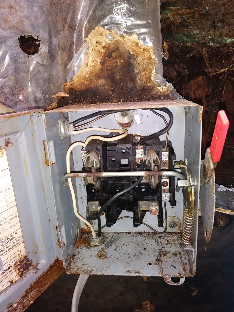 Slide of Snow Wonder Services