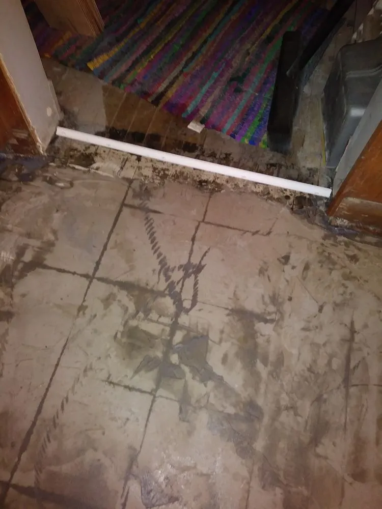 Top-rated pipe repair in Lansing, MI by Snow Wonder Services