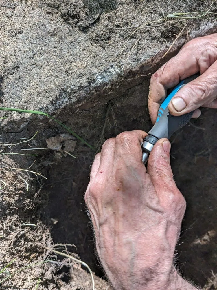 Slide of Snow Wonder Services