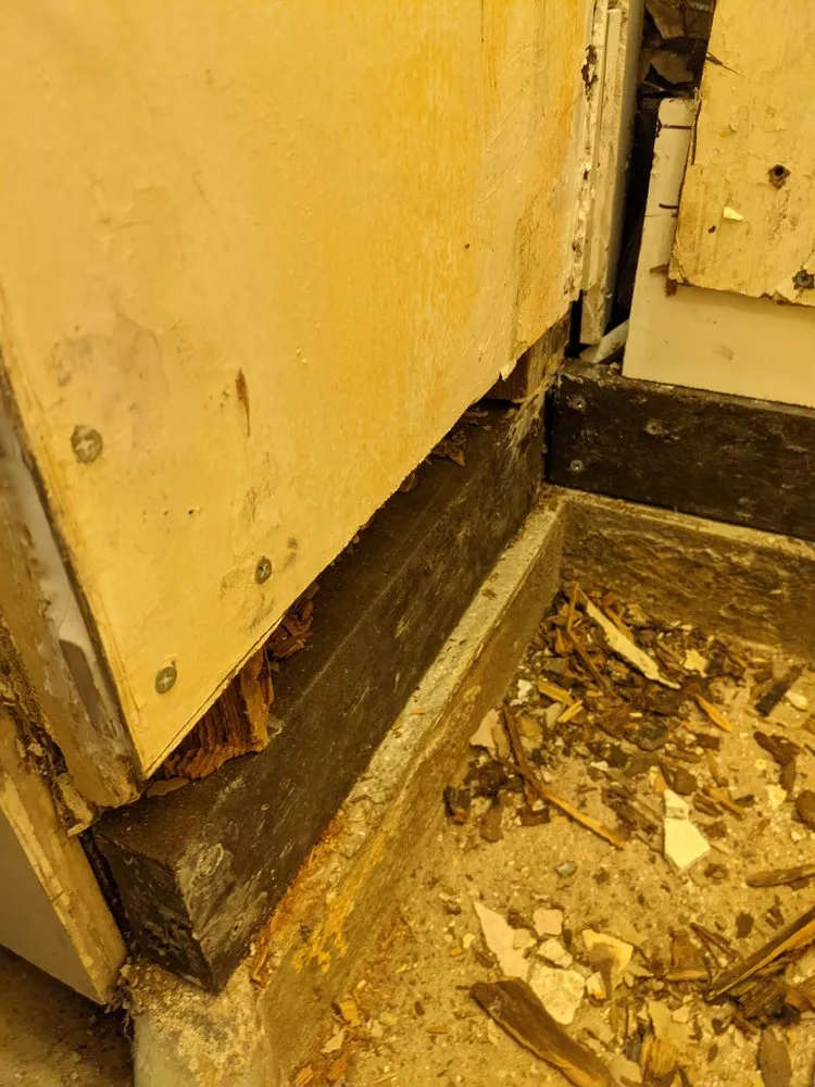 Slide of Snow Wonder Services