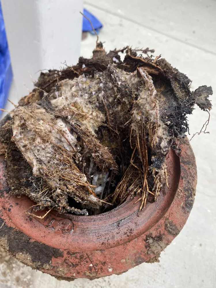 Slide of So-cal 1 plumbing & rooter