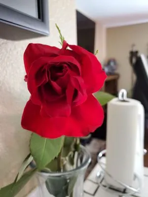 Soares Plumbing Logo