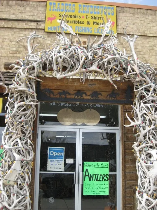 Slide of Sobieski Services