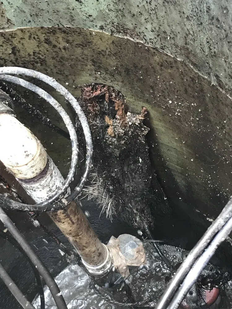 Slide of Socal Jetting And Drains