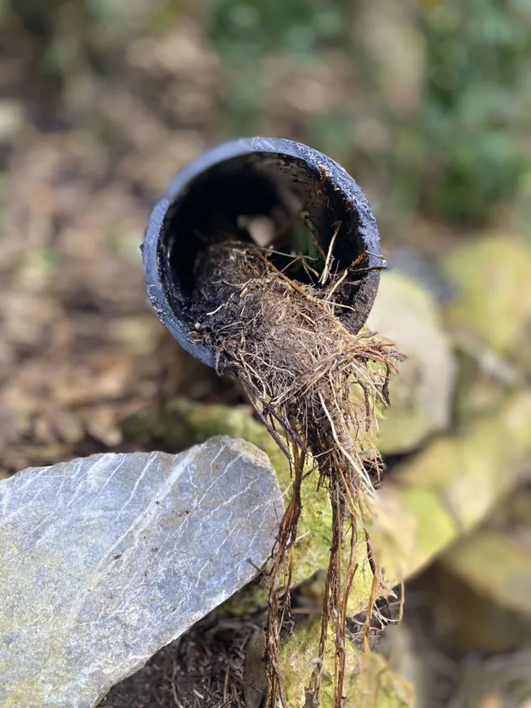 Slide of Socal Sewer & Plumbing Contractors