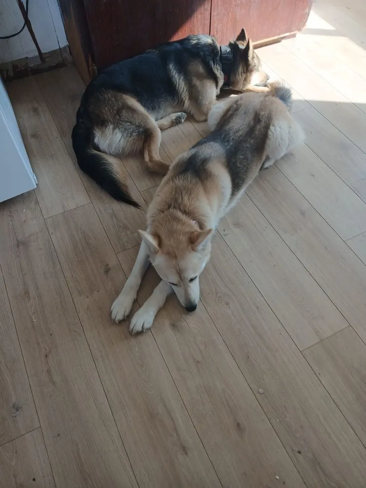 Slide of Solid Ground Landscaping