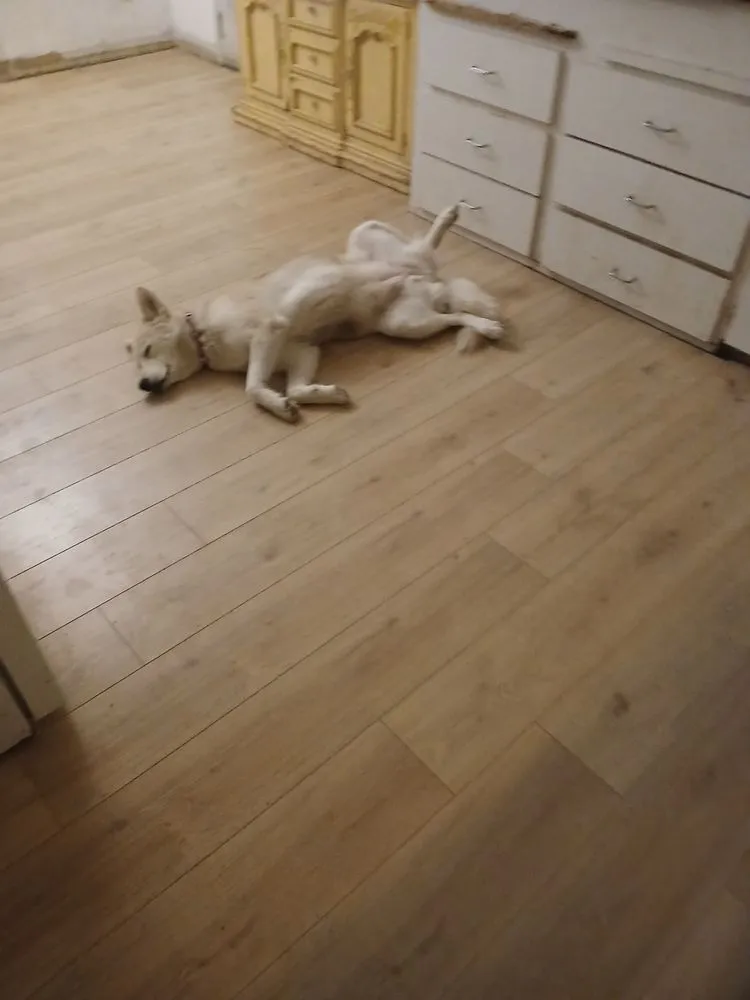 Slide of Solid Ground Landscaping