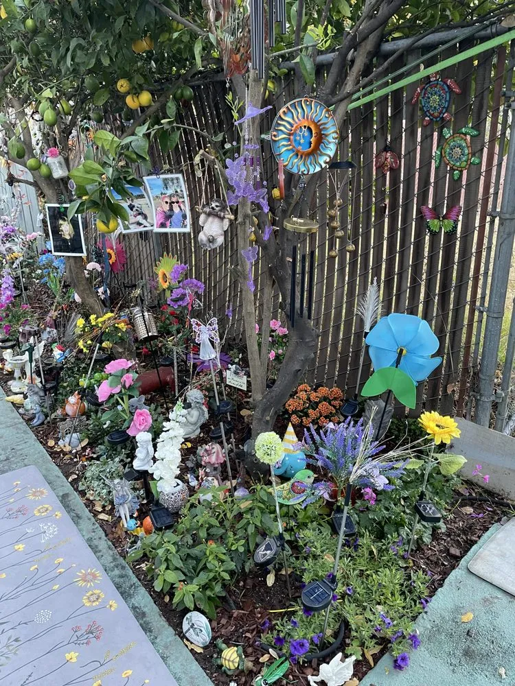 Slide of Solid Ground Landscaping