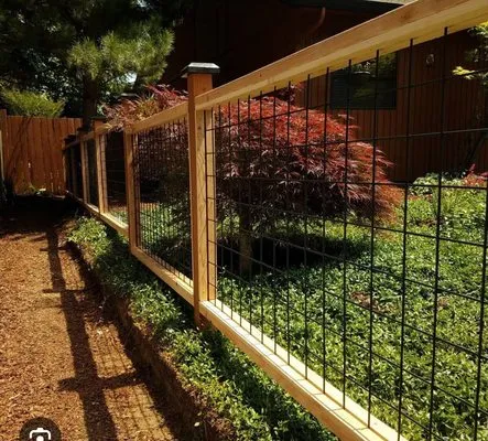 Solid Ground Landscaping Logo