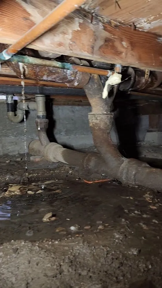 Slide of Solid Plumbing & Drain