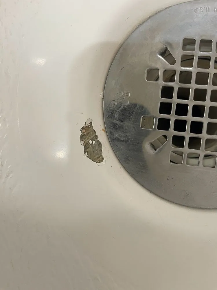 Slide of Solutions Tub & Mechanical